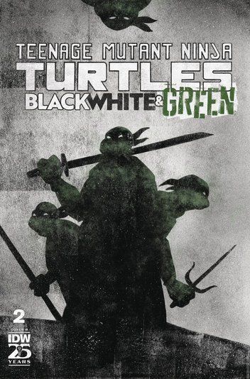 Teenage Mutant Ninja Turtles Black White & Green #2 [2024] NM Cover B