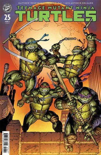 Teenage Mutant Ninja Turtles #25 Variant D (Bagley)